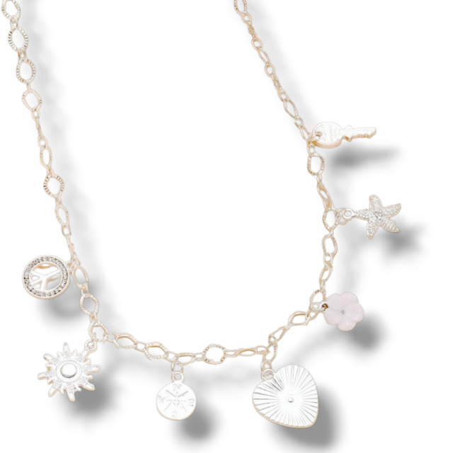 COLLAR ACERO BLANCO MULTIDIJES 